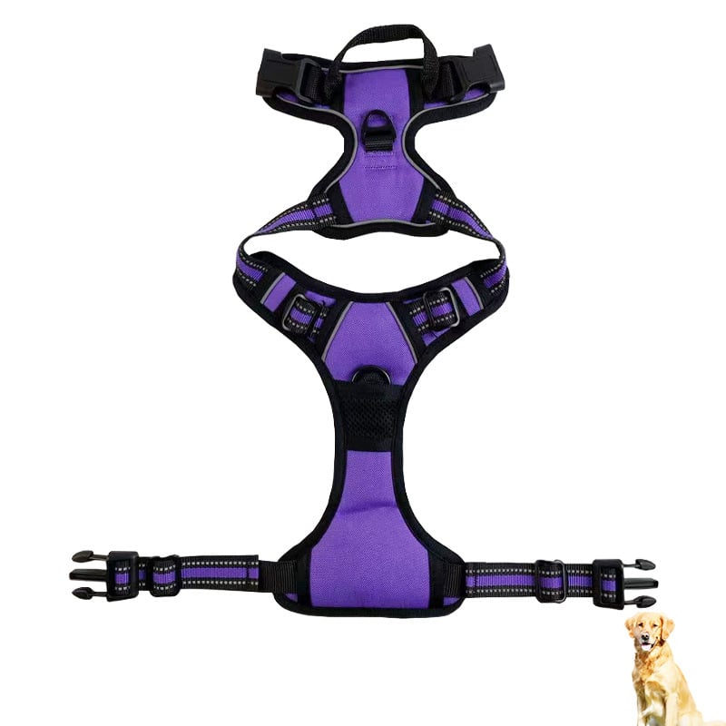 Reflective Nylon Chest and Back Harness for Dogs